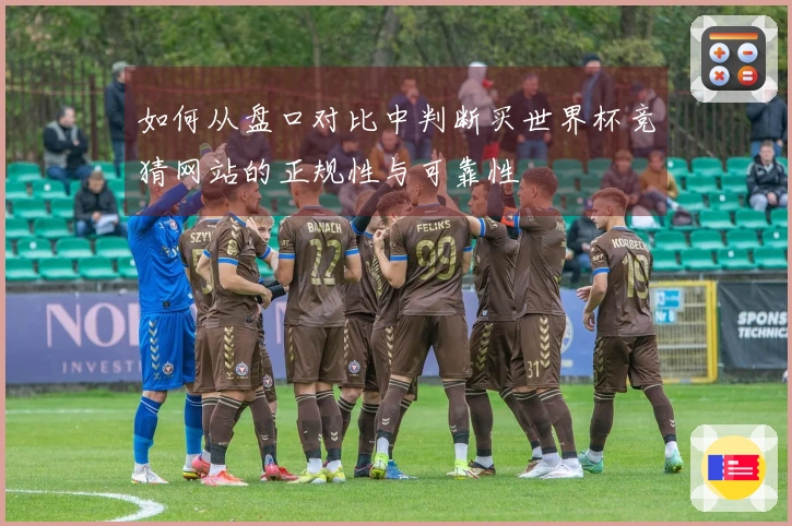 如何从盘口对比中判断买世界杯竞猜网站的正规性与可靠性