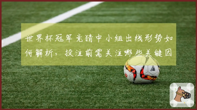 世界杯冠军竞猜中小组出线形势如何解析，投注前需关注哪些关键因素