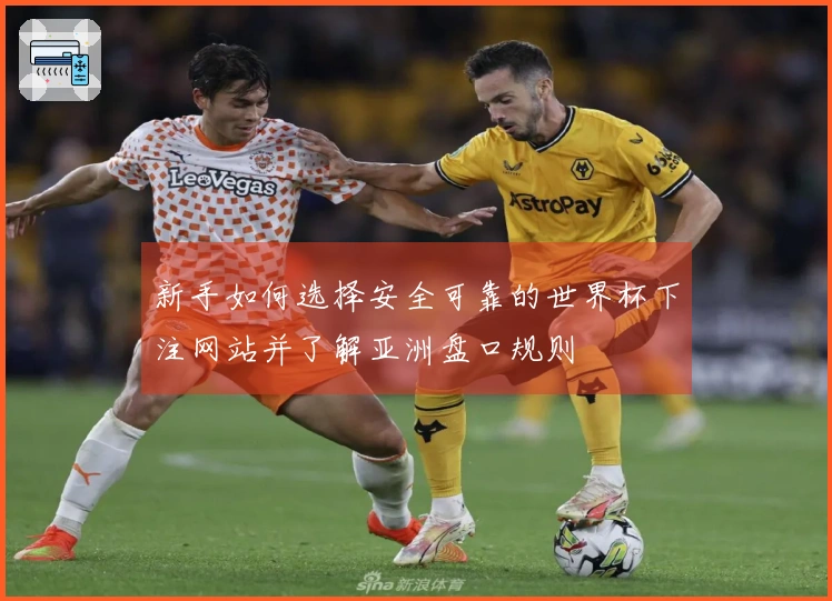 新手如何选择安全可靠的世界杯下注网站并了解亚洲盘口规则