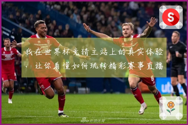 我在世界杯竞猜主站上的真实体验,让你看懂如何玩转精彩赛事直播