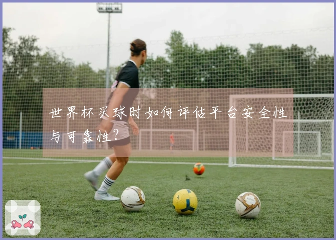 世界杯买球时如何评估平台安全性与可靠性？