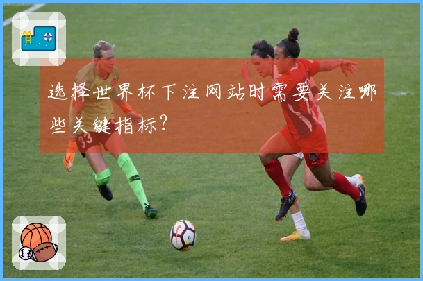 选择世界杯下注网站时需要关注哪些关键指标？