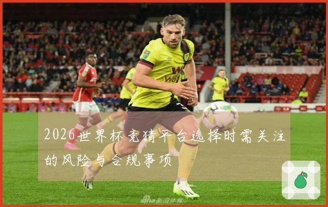 2026世界杯竞猜平台选择时需关注的风险与合规事项