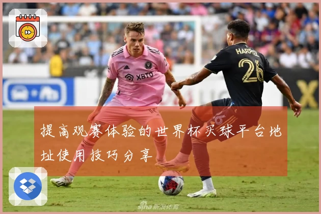 提高观赛体验的世界杯买球平台地址使用技巧分享