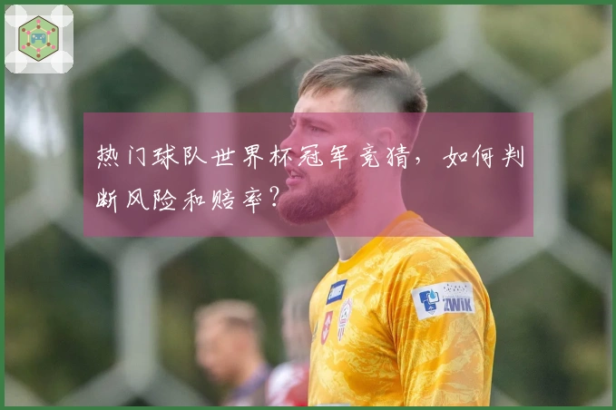 热门球队世界杯冠军竞猜，如何判断风险和赔率？