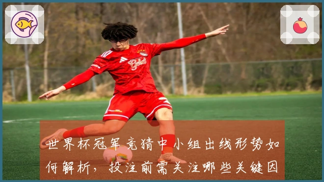 世界杯冠军竞猜中小组出线形势如何解析，投注前需关注哪些关键因素