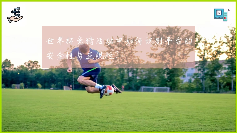 世界杯竞猜活动中如何识别平台的安全性与正规性？