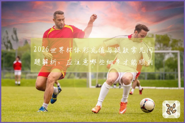 2026世界杯体彩充值与提款常见问题解析，应注意哪些细节才能顺利操作？