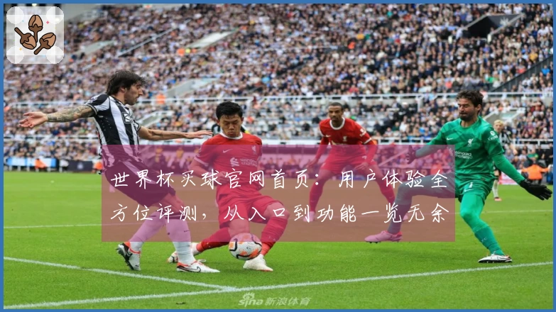 世界杯买球官网首页：用户体验全方位评测，从入口到功能一览无余