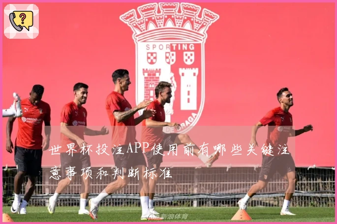 世界杯投注APP使用前有哪些关键注意事项和判断标准