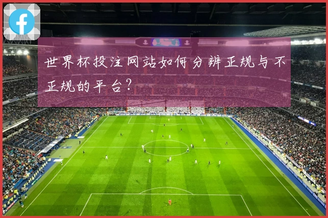 世界杯投注网站如何分辨正规与不正规的平台？