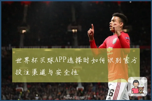 世界杯买球APP选择时如何识别官方投注渠道与安全性