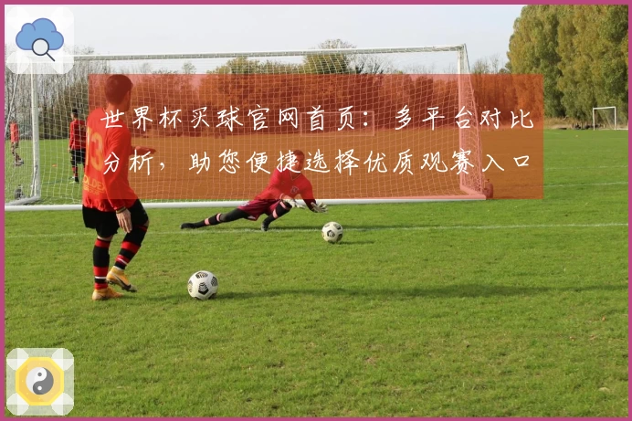 世界杯买球官网首页：多平台对比分析，助您便捷选择优质观赛入口