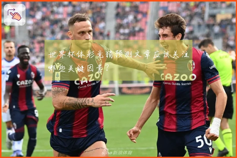 世界杯体彩竞猜预测文章应该关注哪些关键因素？