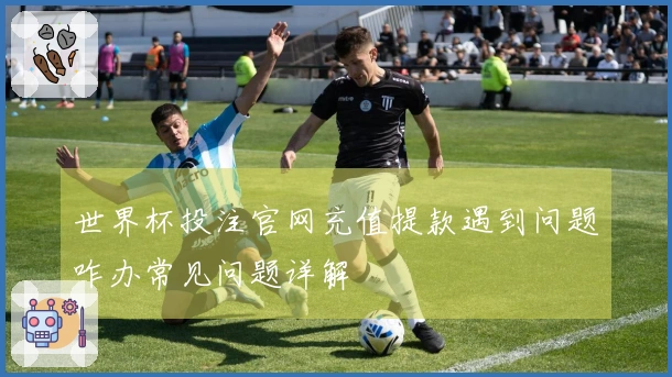 世界杯投注官网充值提款遇到问题咋办常见问题详解