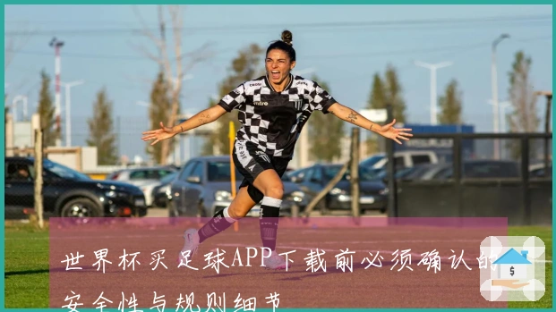 世界杯买足球APP下载前必须确认的安全性与规则细节