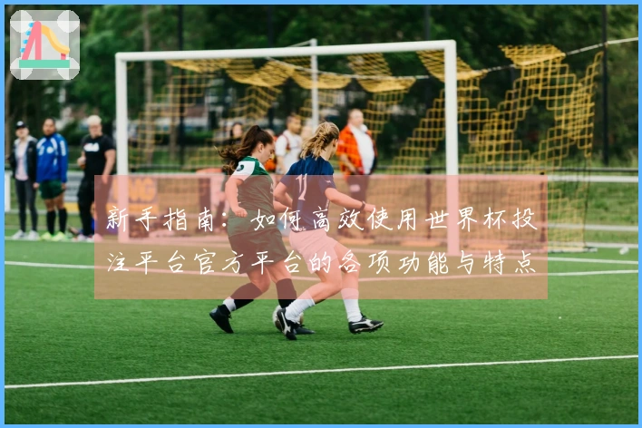 新手指南：如何高效使用世界杯投注平台官方平台的各项功能与特点