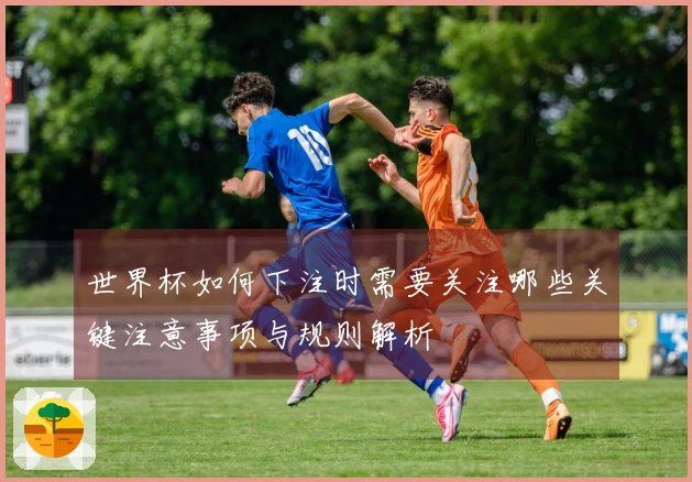 世界杯如何下注时需要关注哪些关键注意事项与规则解析