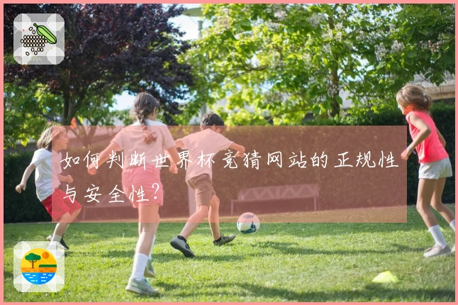 如何判断世界杯竞猜网站的正规性与安全性？