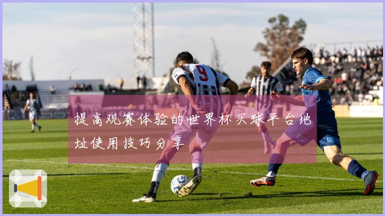 提高观赛体验的世界杯买球平台地址使用技巧分享