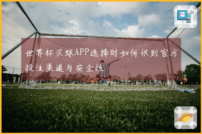 世界杯买球APP选择时如何识别官方投注渠道与安全性