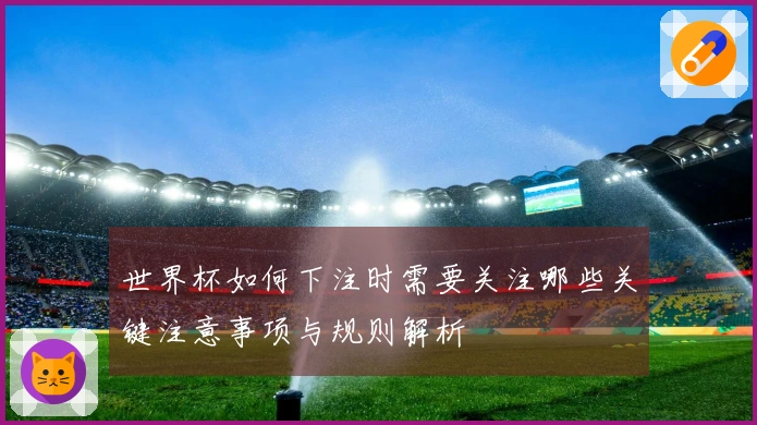 世界杯如何下注时需要关注哪些关键注意事项与规则解析