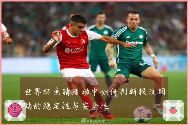 世界杯竞猜活动中如何判断投注网站的稳定性与安全性
