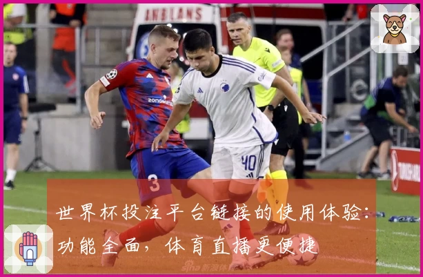 世界杯投注平台链接的使用体验：功能全面，体育直播更便捷