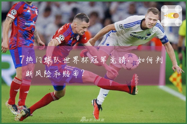 热门球队世界杯冠军竞猜，如何判断风险和赔率？