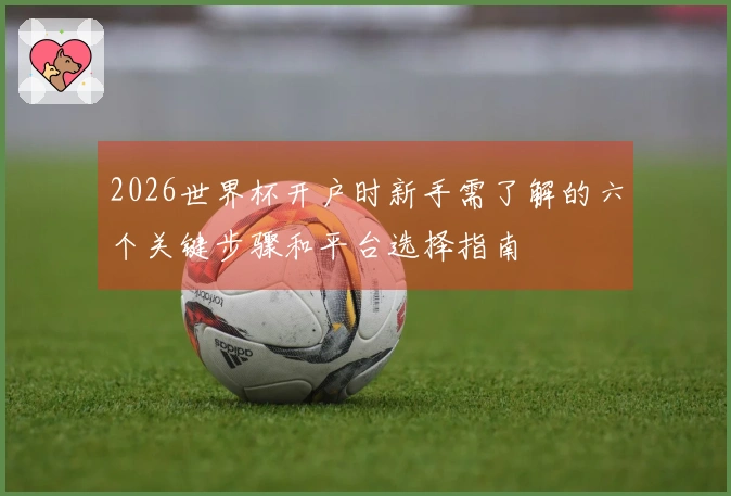 2026世界杯开户时新手需了解的六个关键步骤和平台选择指南