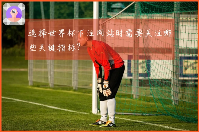 选择世界杯下注网站时需要关注哪些关键指标？